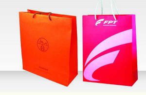 in túi giấy tại Bắc Ninh