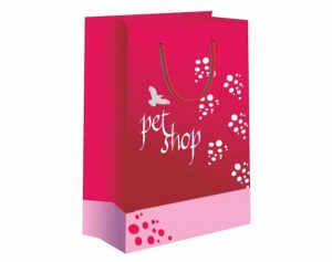 Thiết kế túi giấy