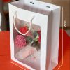 Túi giấy có sẵn đựng quà IT09 (35 x 25 x 13 cm)