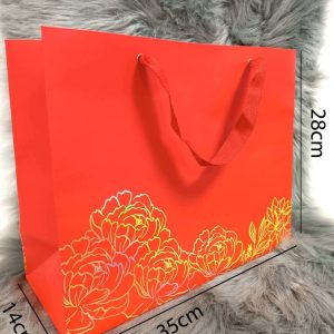 Túi đựng quà tặng cao cấp TT01 (28  x 35 x 14 cm)